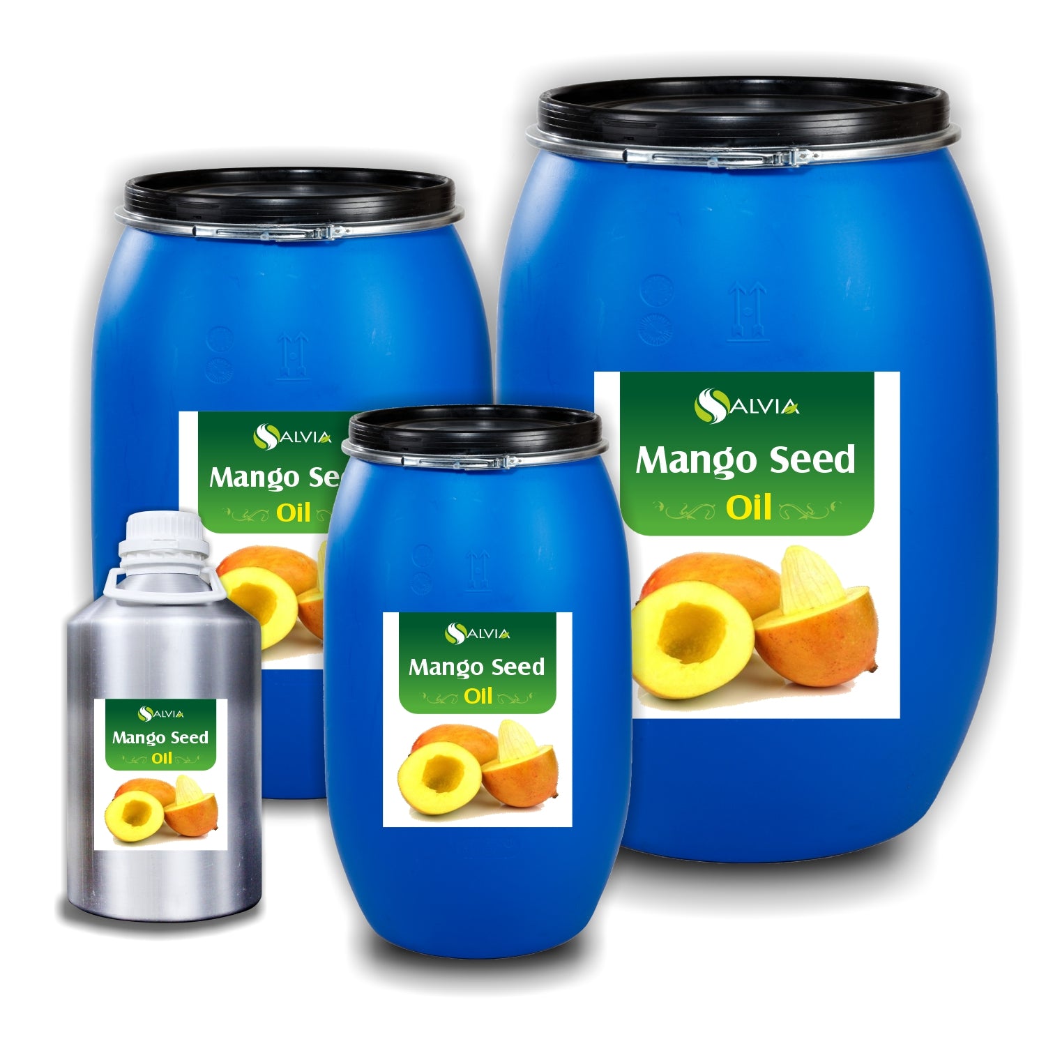 Salvia Natural Carrier Oils 10kg Mango Seed Oil